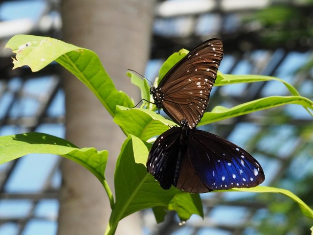 PB302741_a