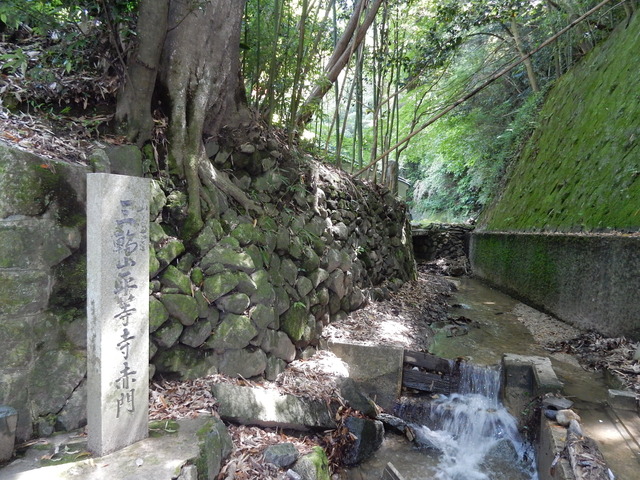 DSCN8320