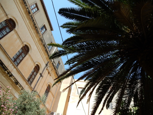 DSCN1794