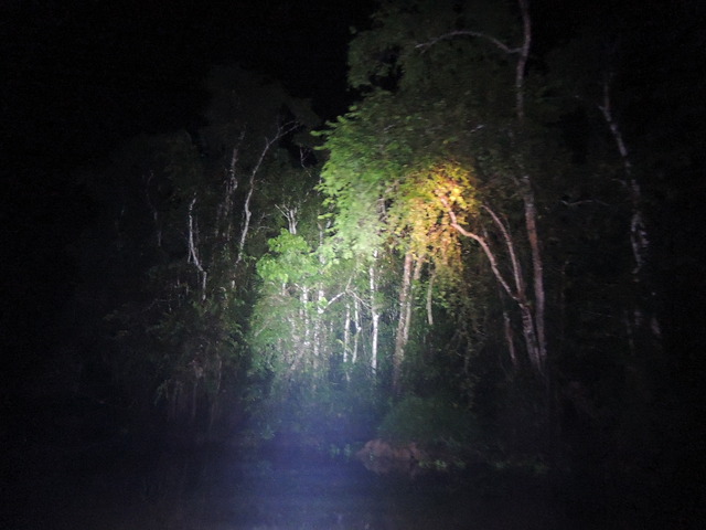 DSCN0770
