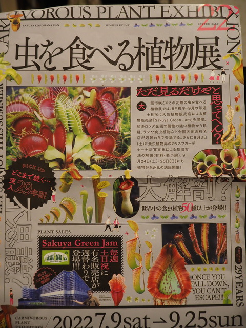 P9241625