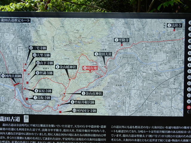 DSCN2320