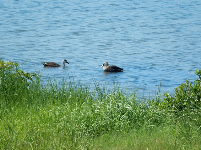 DSCN7202