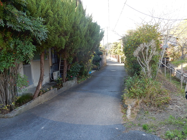 DSCN8454