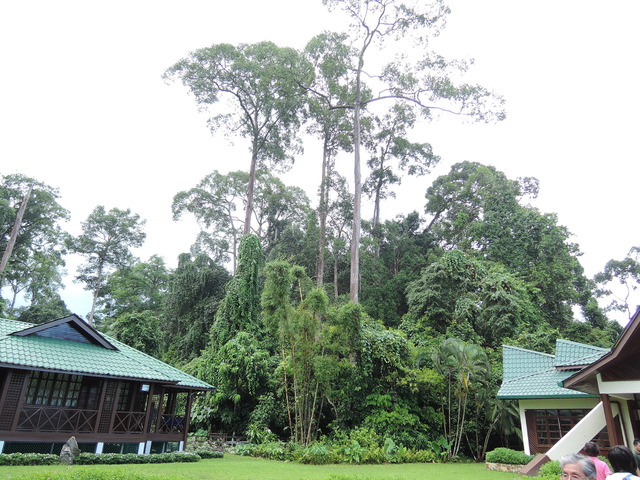 DSCN0285