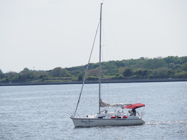 P4250882