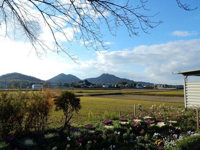 DSCN9879