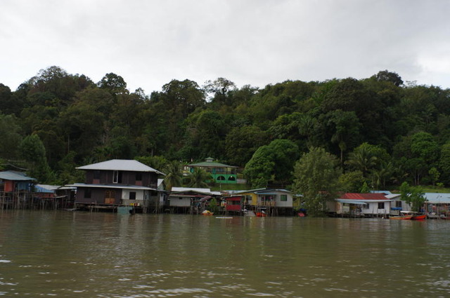 IMGP3498