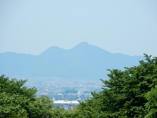 DSCN8362