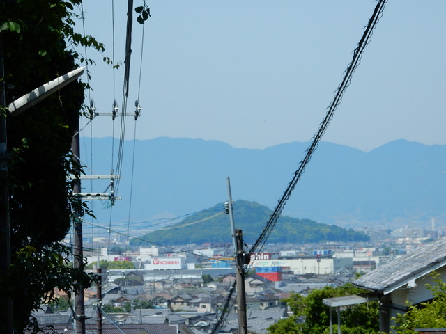 DSCN8323