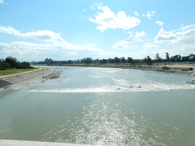 DSCN5958