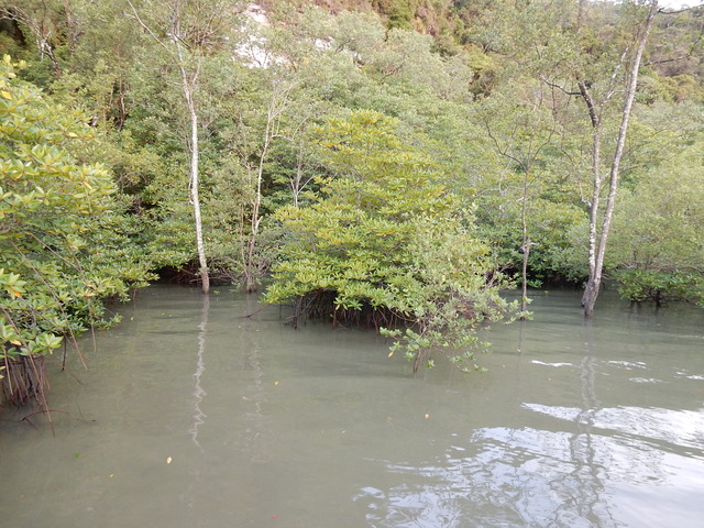 DSCN3681