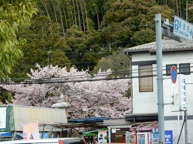 DSCN0853