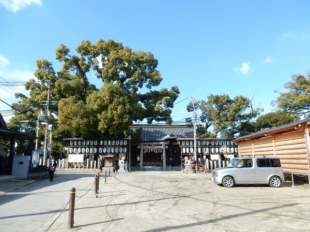 DSCN8943