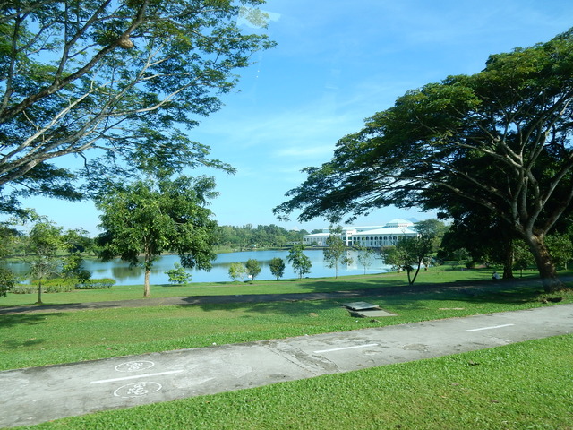 DSCN6257