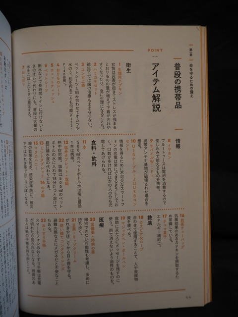 P4160005 (1)