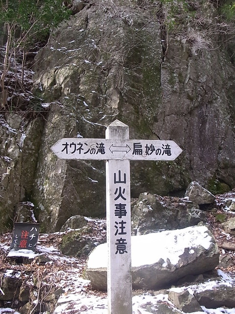 RIMG14818