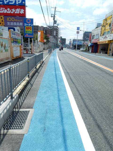 DSCN8796