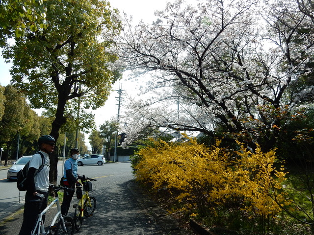 DSCN7849