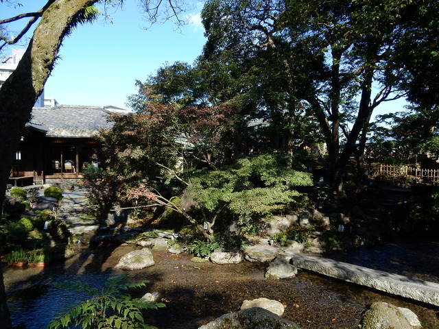 DSCN6849