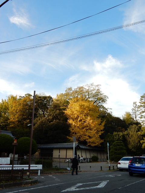 DSCN6439