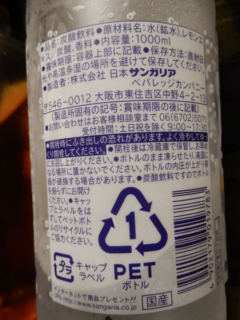 DSCN9653