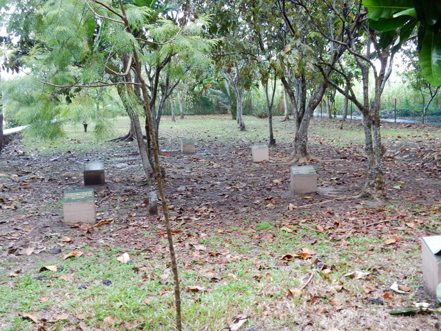 DSCN6342