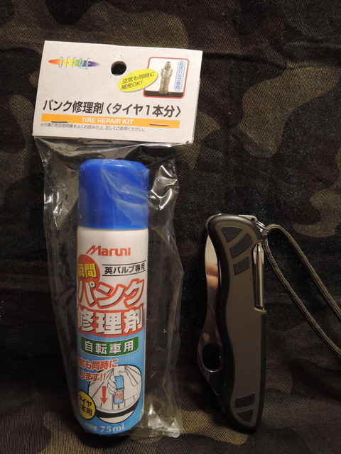 DSCN2029