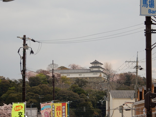 DSCN0865
