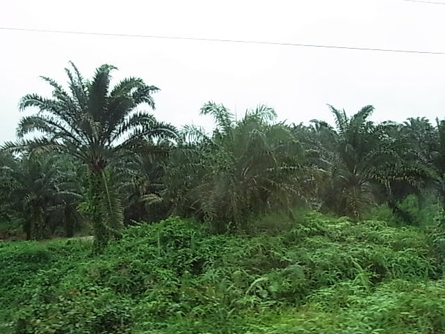 6d89c6b6.jpg