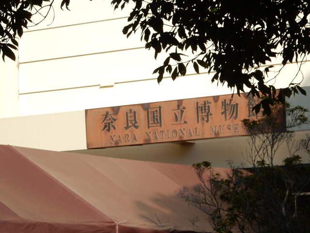 DSCN5981