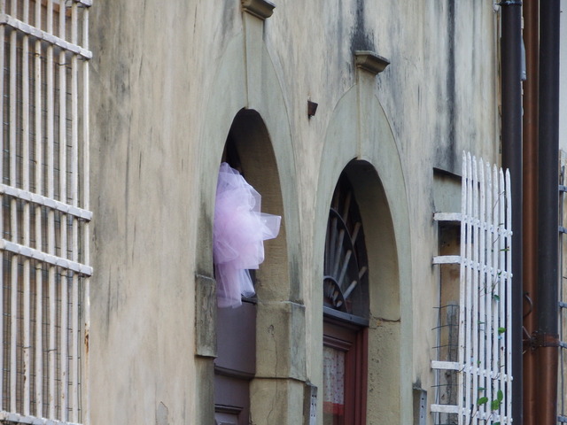 DSCF4544