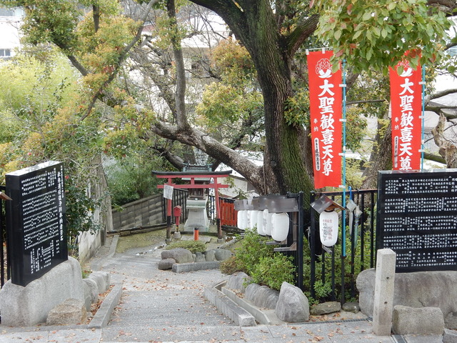 DSCN5799
