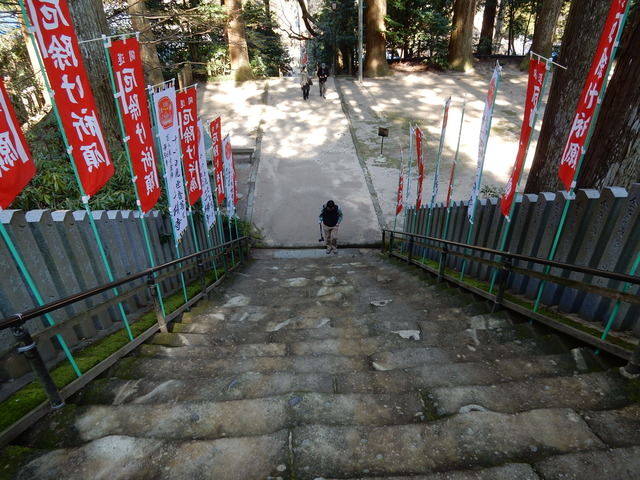 DSCN1538
