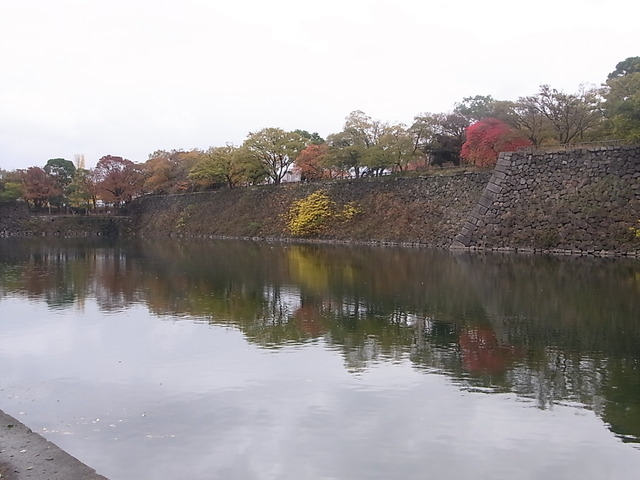 RIMG6377