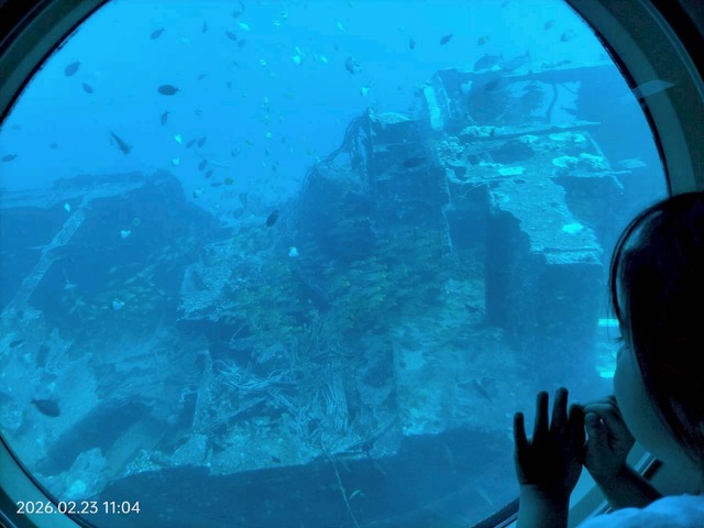 LINE_ALBUM_2026.2.24㈪HAWAII3日目アトランティス潜水艦ツアー&Kiyomiおにぎり_260301_49