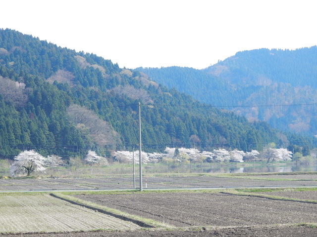 DSCN0901