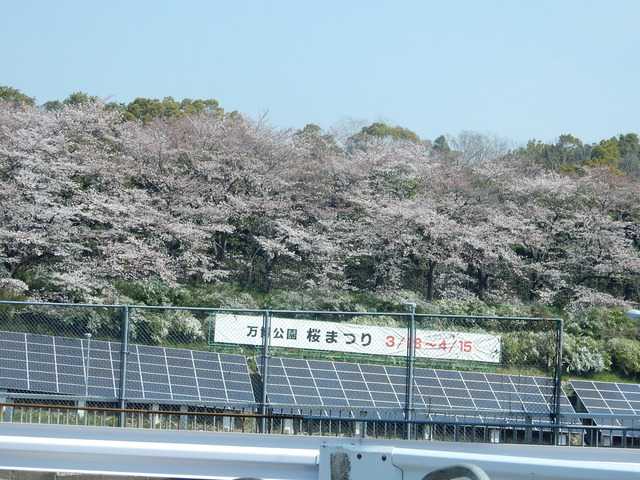 DSCN7850