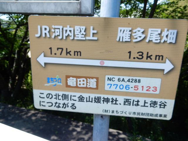 DSCN2365