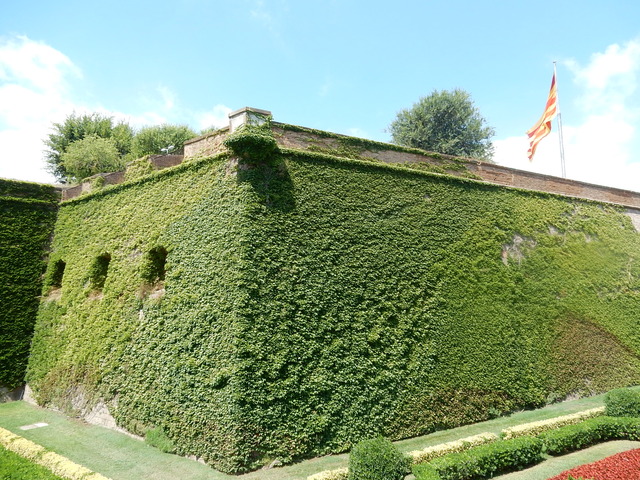 DSCN4737