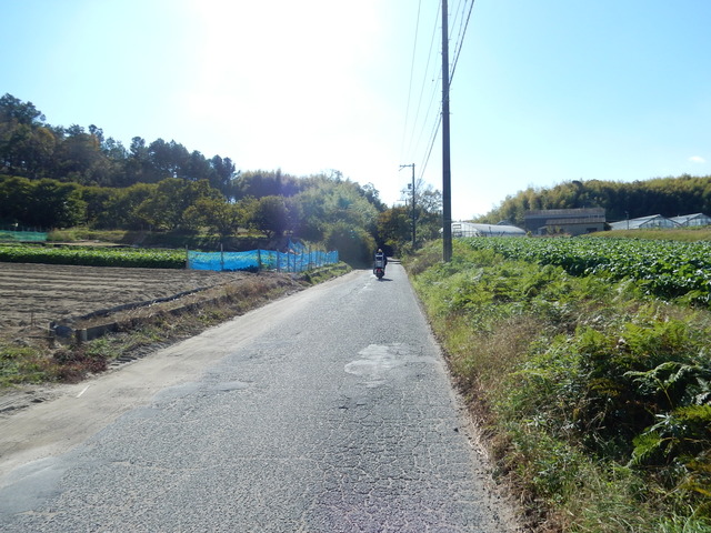 DSCN8416