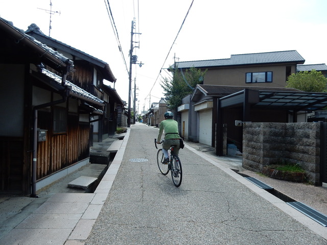 DSCN8810