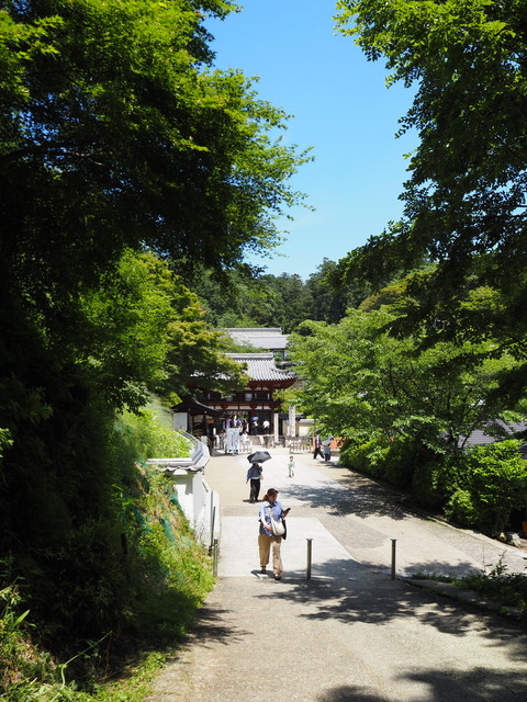 P6139021
