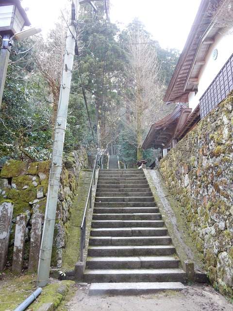 DSCN1529