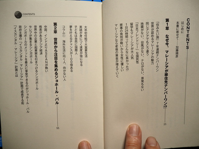 P6053895