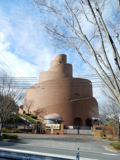 DSCN8419