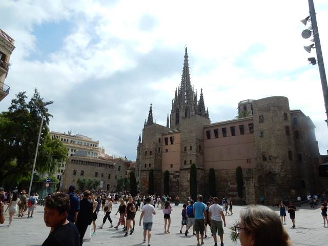 DSCN4697