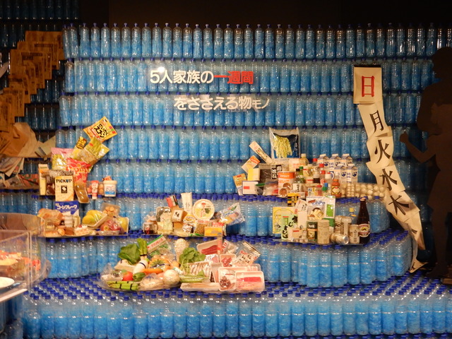 DSCN7204