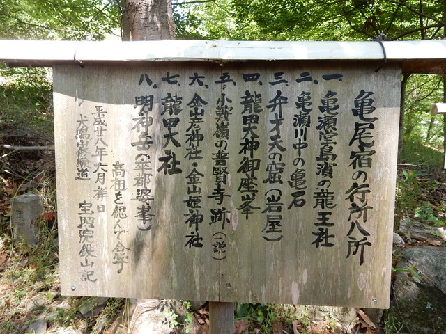 DSCN2420