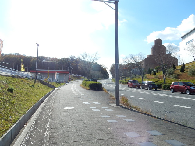 DSCN8417